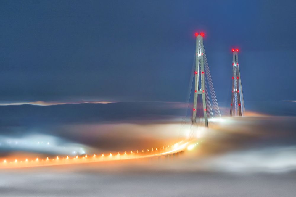 Фотография автора Лариса Дука