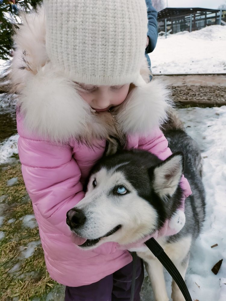 Photograph by Александр Быкадоров