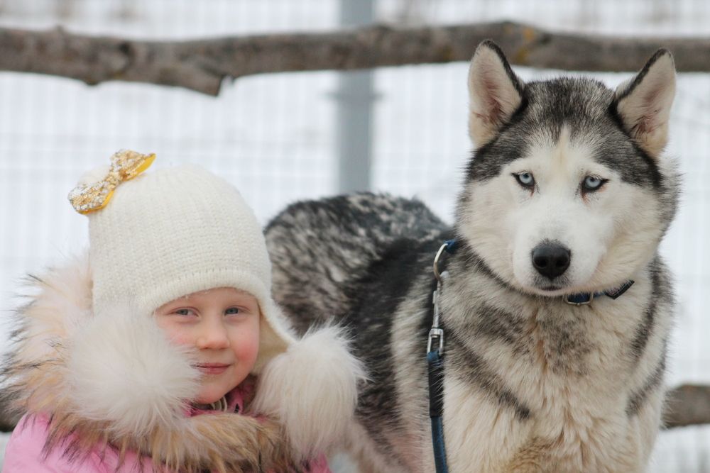 Photograph by Александр Быкадоров