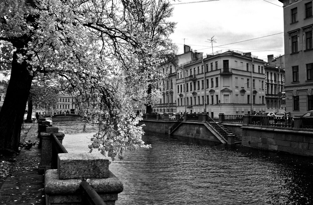 Photograph by Владимир Шишкин