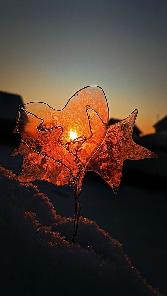 Photograph by Анна Захарчук