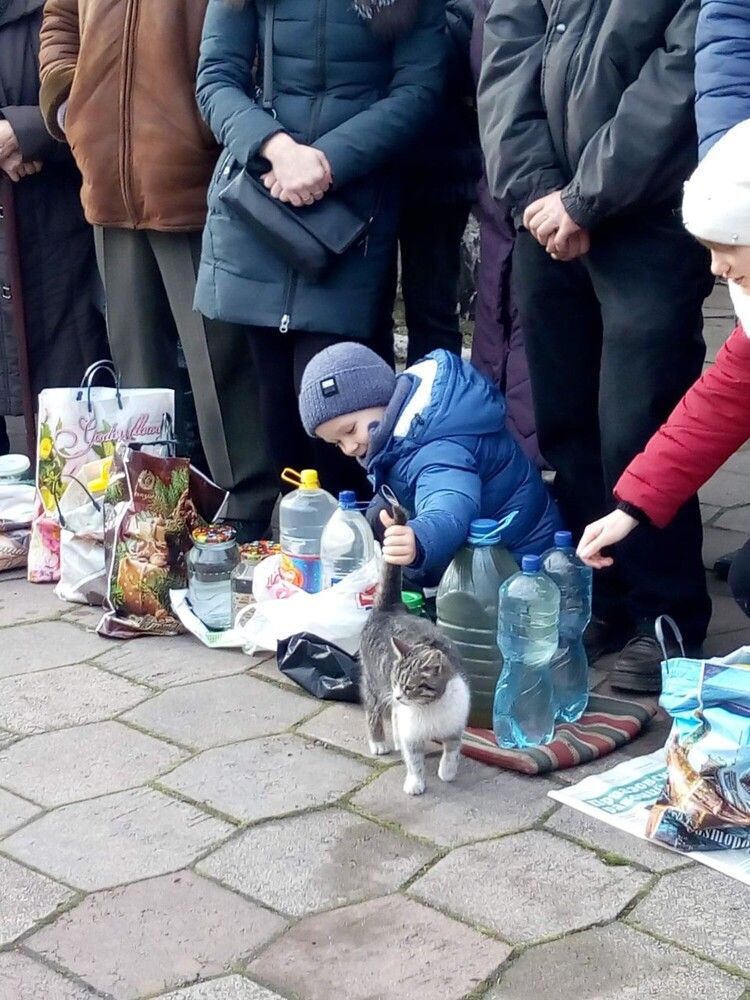 Photograph by Татьяна Пальчикова