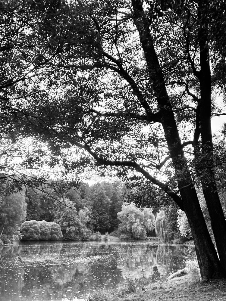 Photograph by Сюзанна