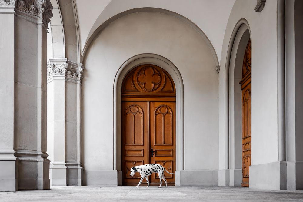 Photograph by karin bruhin