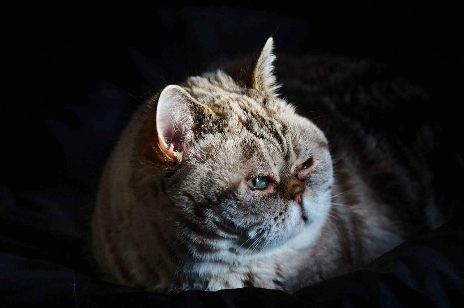 Утреннее пробуждение Утреннее пробуждение