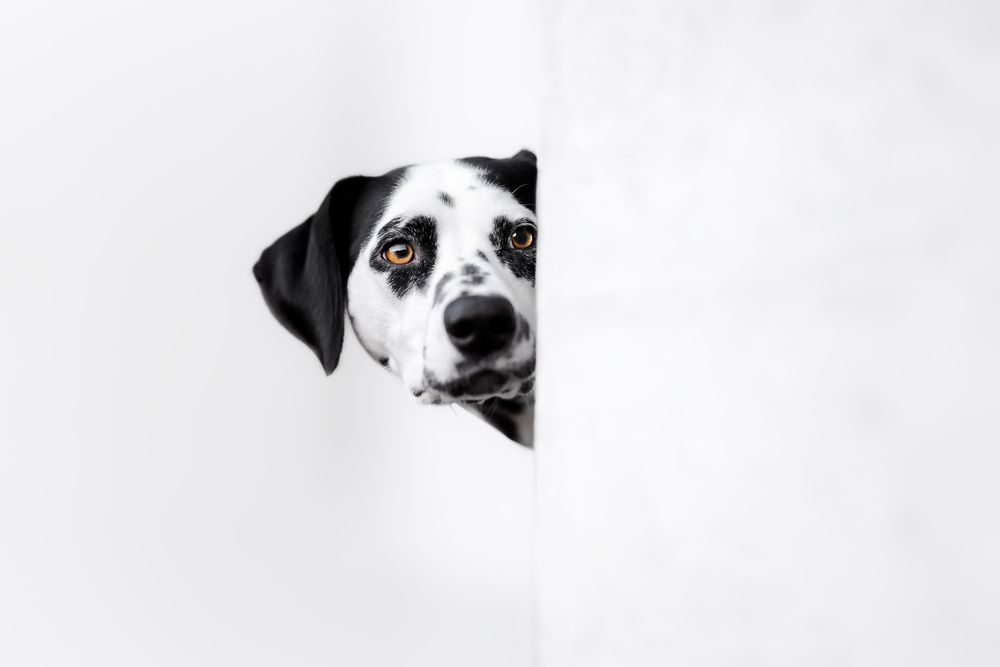 Photograph by karin bruhin