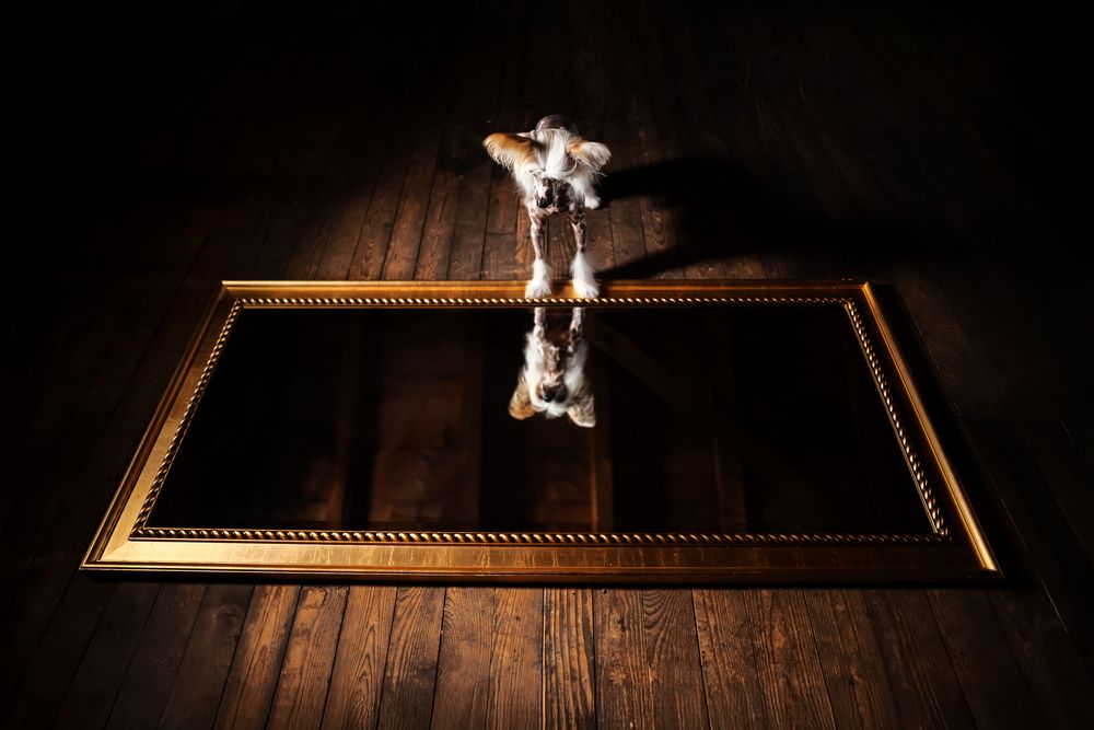 Photograph by karin bruhin