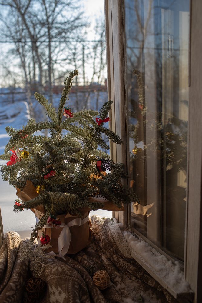 Photograph by Людмила Кузьмина