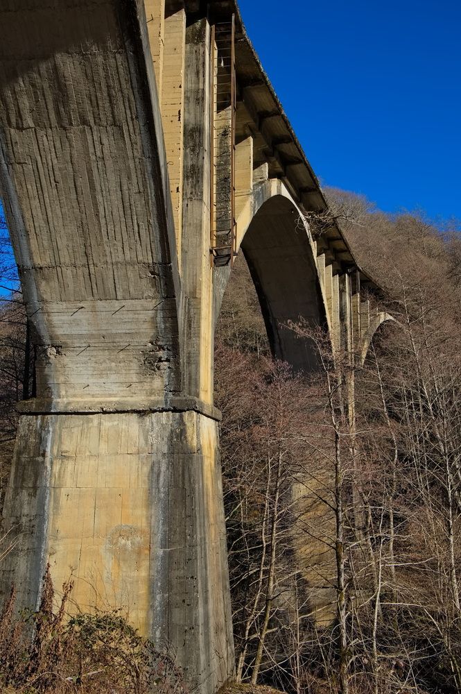 Photograph by Олег Раков