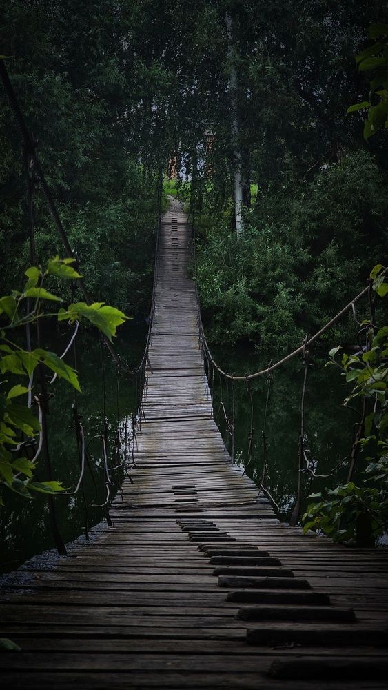 Photograph by Степан Макрушин