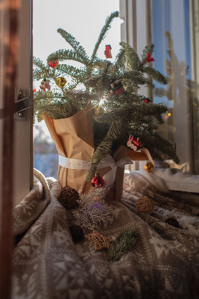 Зимний лучик заглянул в окно.