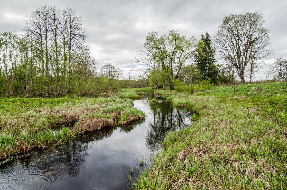 Photograph by Александр Вавулин