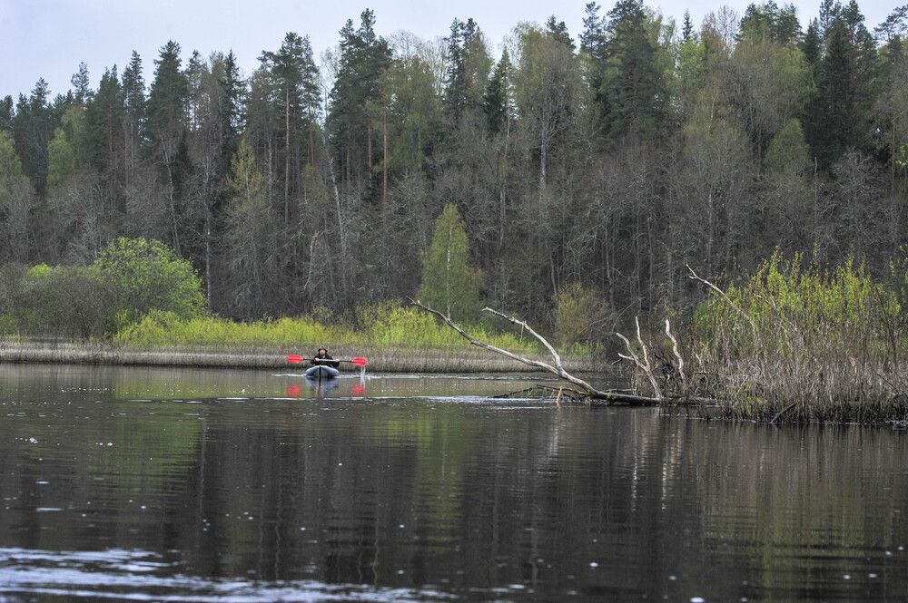 Photograph by Александр Вавулин