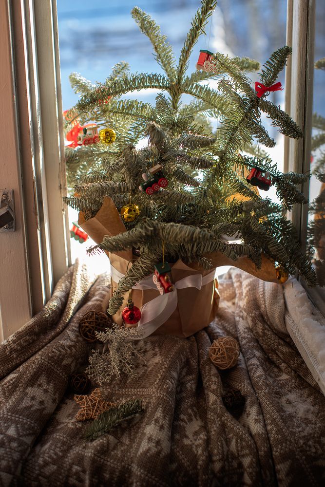 Photograph by Людмила Кузьмина