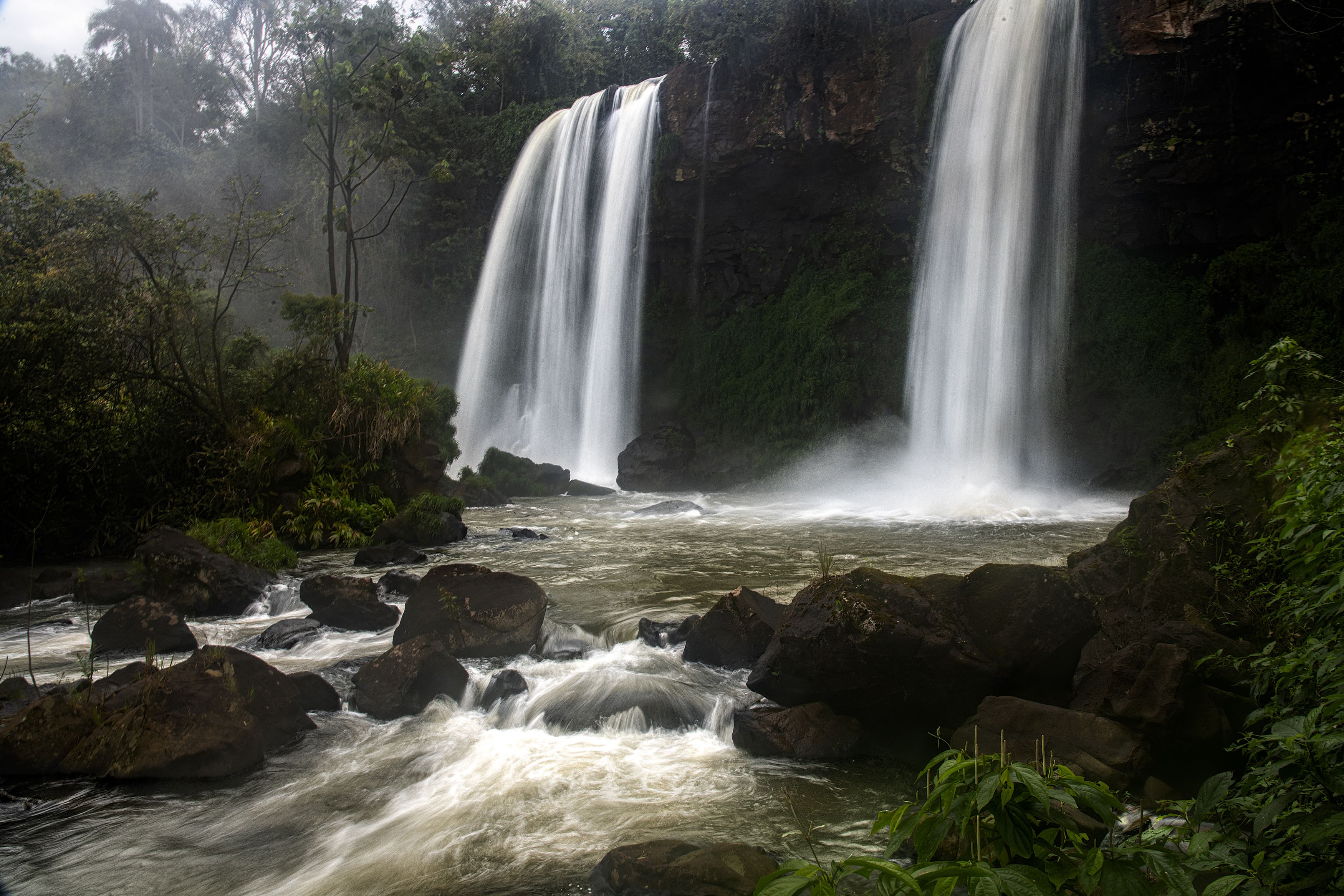 Фотография автора Joaquin Silva
