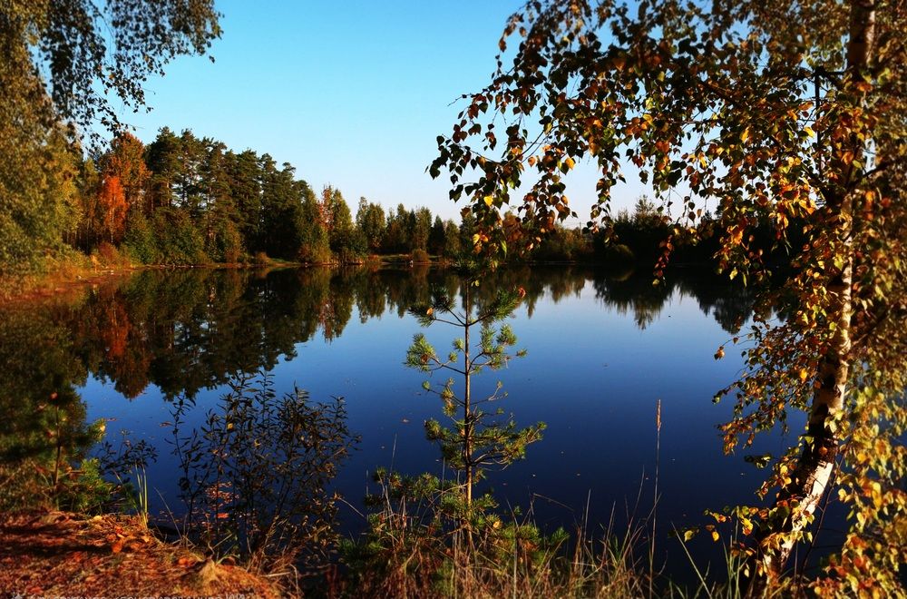 Photograph by Анастасия