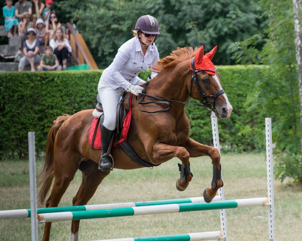 Photograph by Мамсур