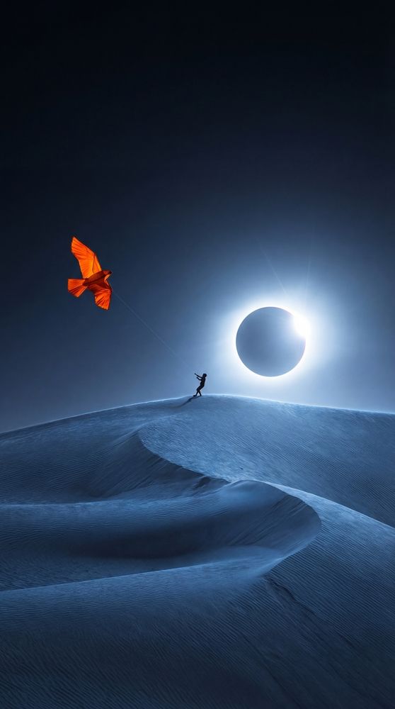 Dreams of flight