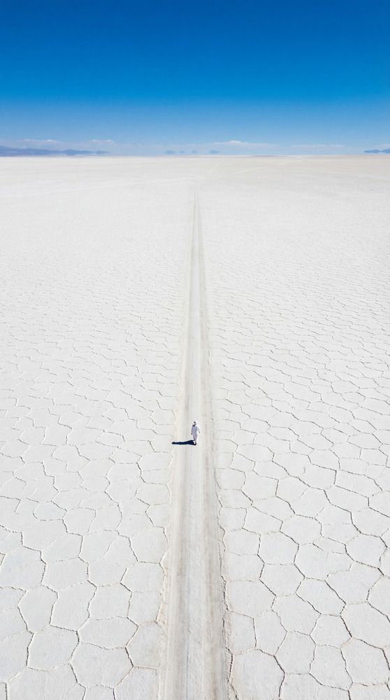 A difficult path through the salt marsh