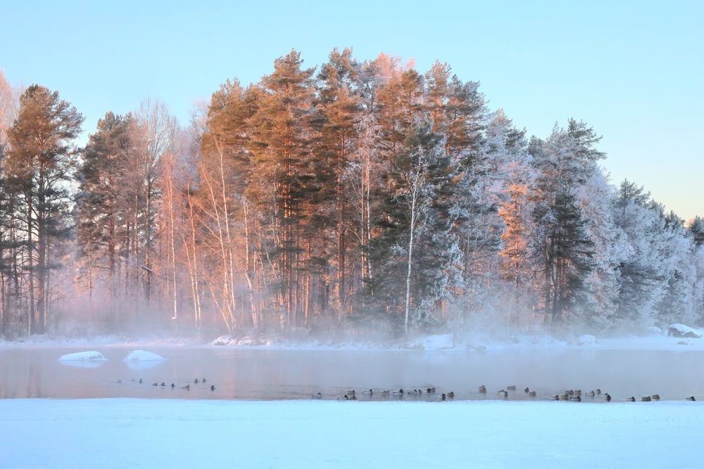 Photograph by Елена Шавшина