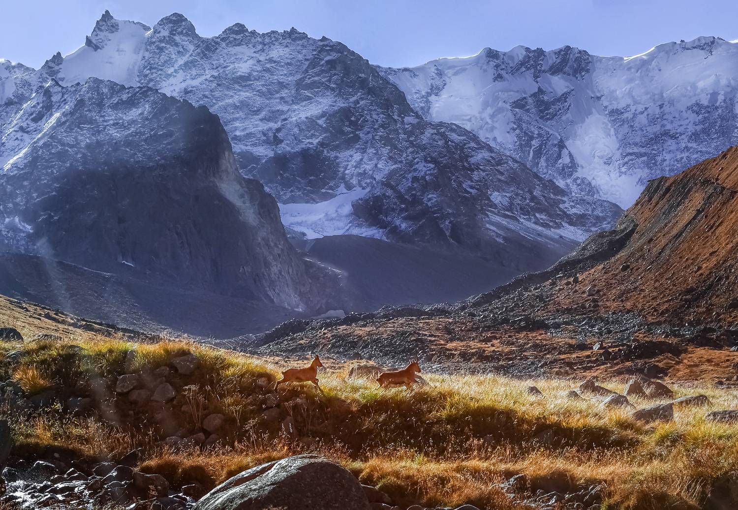 Фотография #13272297