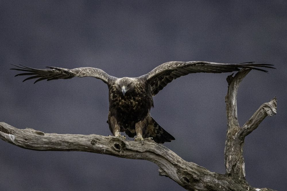 Photograph by Елена Караилиева