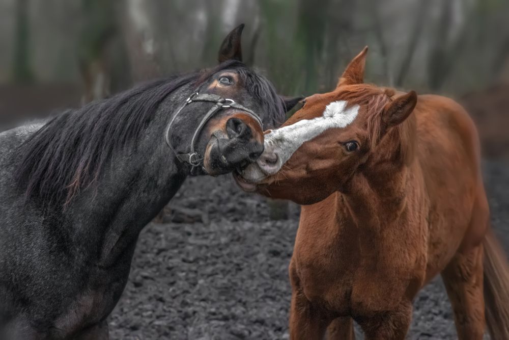 Photograph by АНДРЕЙ АБАКУМОВ