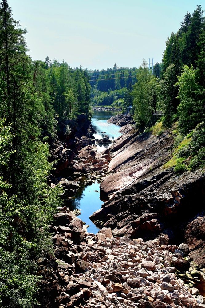 Photograph by Елена Шавшина