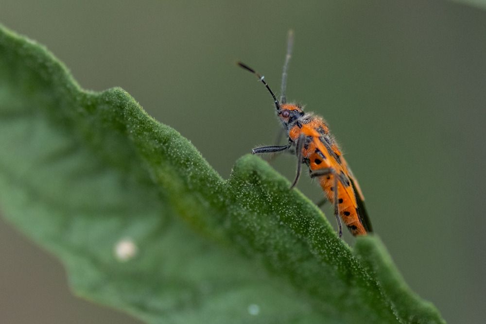 Photograph by Александр Стрельченко