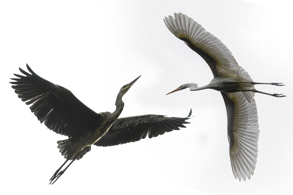 Photograph by АНДРЕЙ АБАКУМОВ