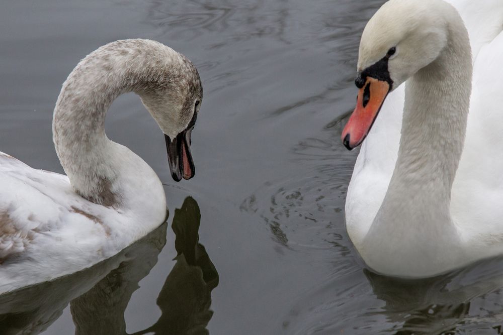 Photograph by АНДРЕЙ АБАКУМОВ