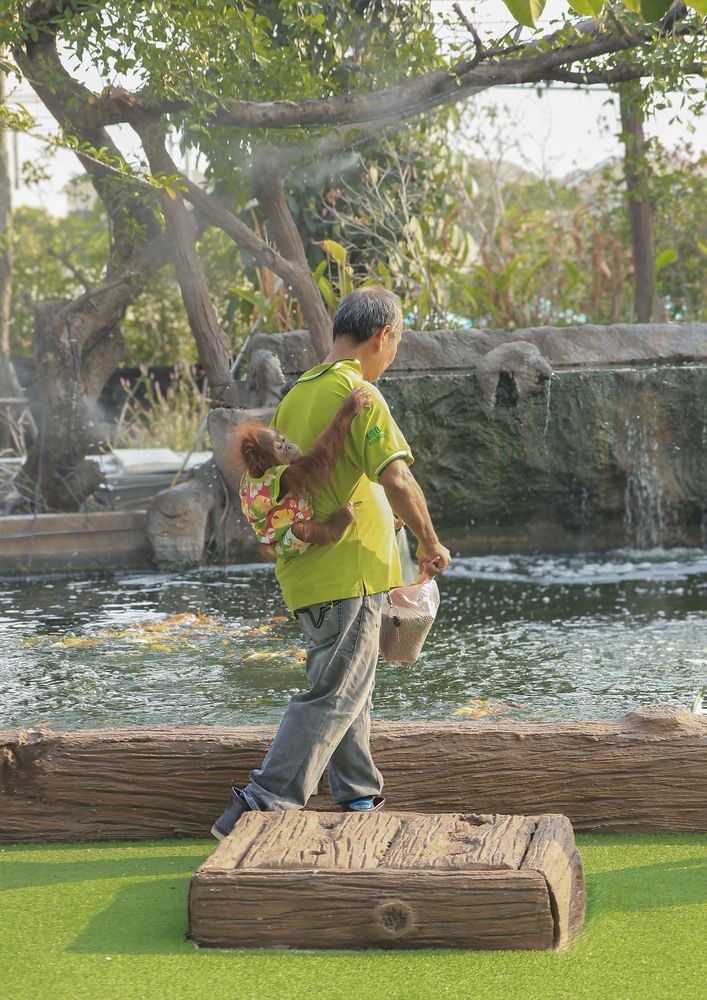 Photo #13272432