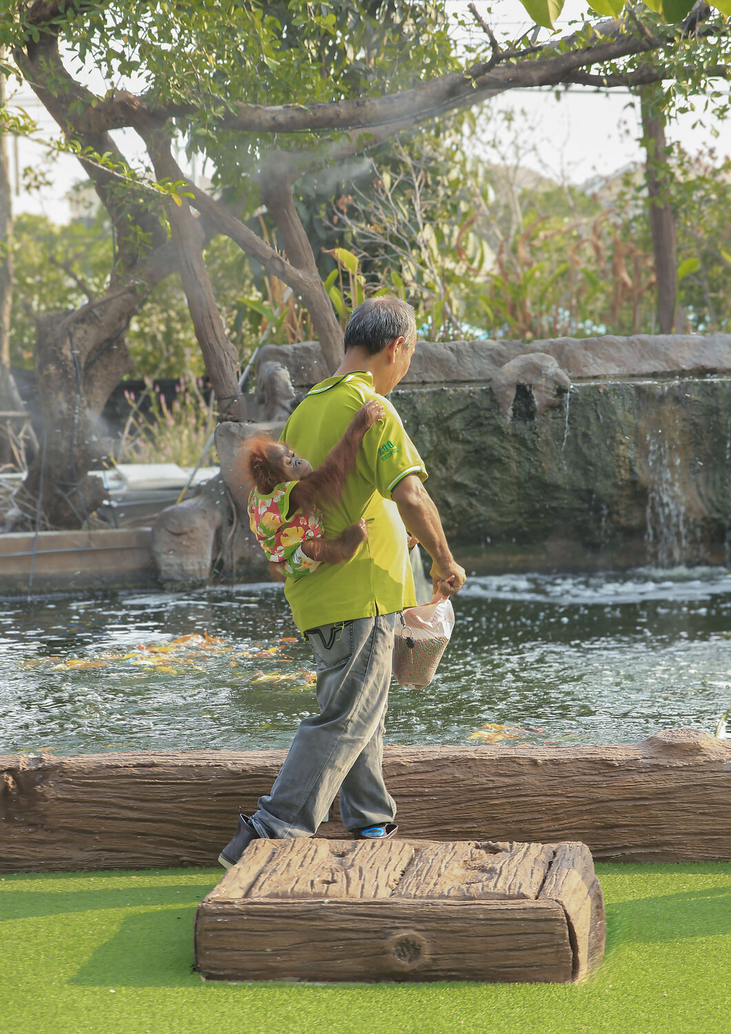 Photo #13272432