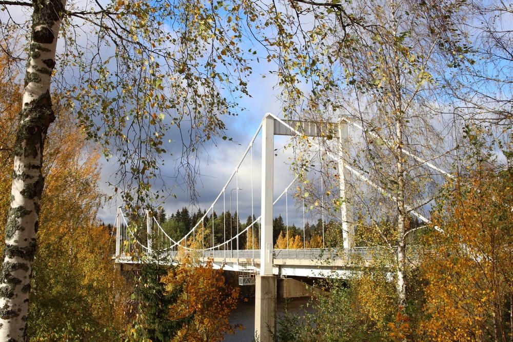 Photograph by Елена Шавшина