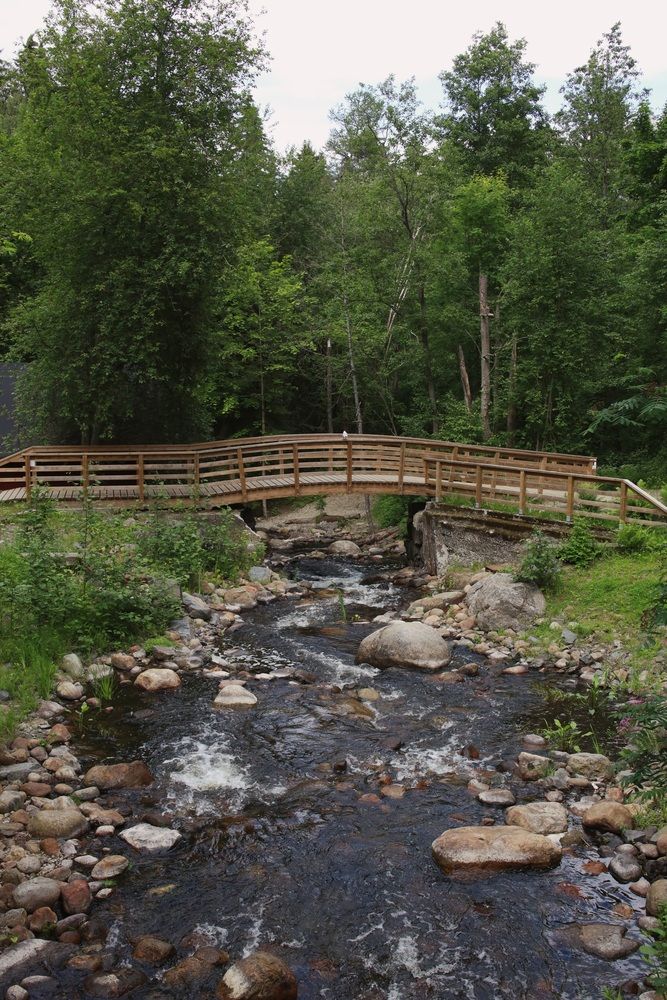 Photograph by Елена Шавшина