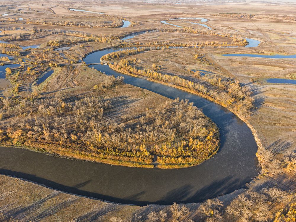 Фотография автора Лариса Дука