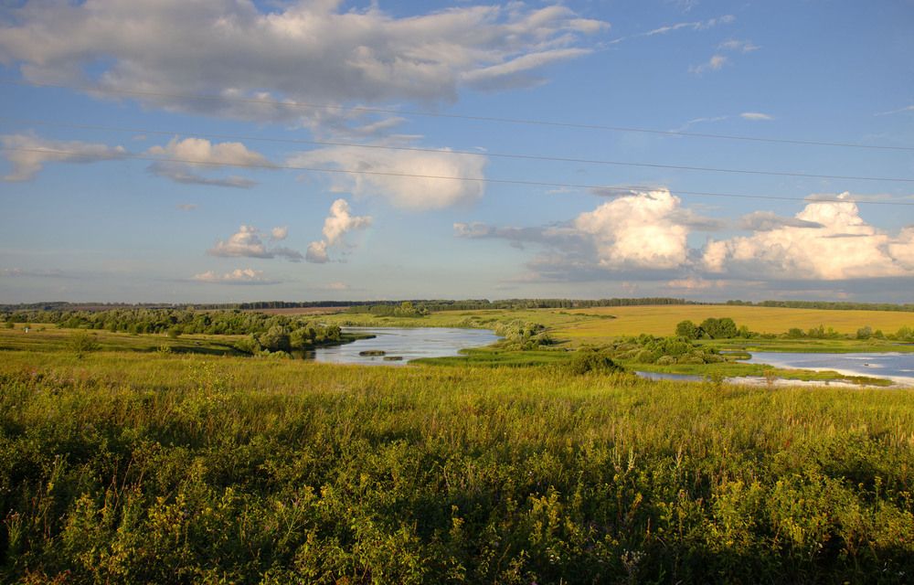 Photograph by Инна Воробьева
