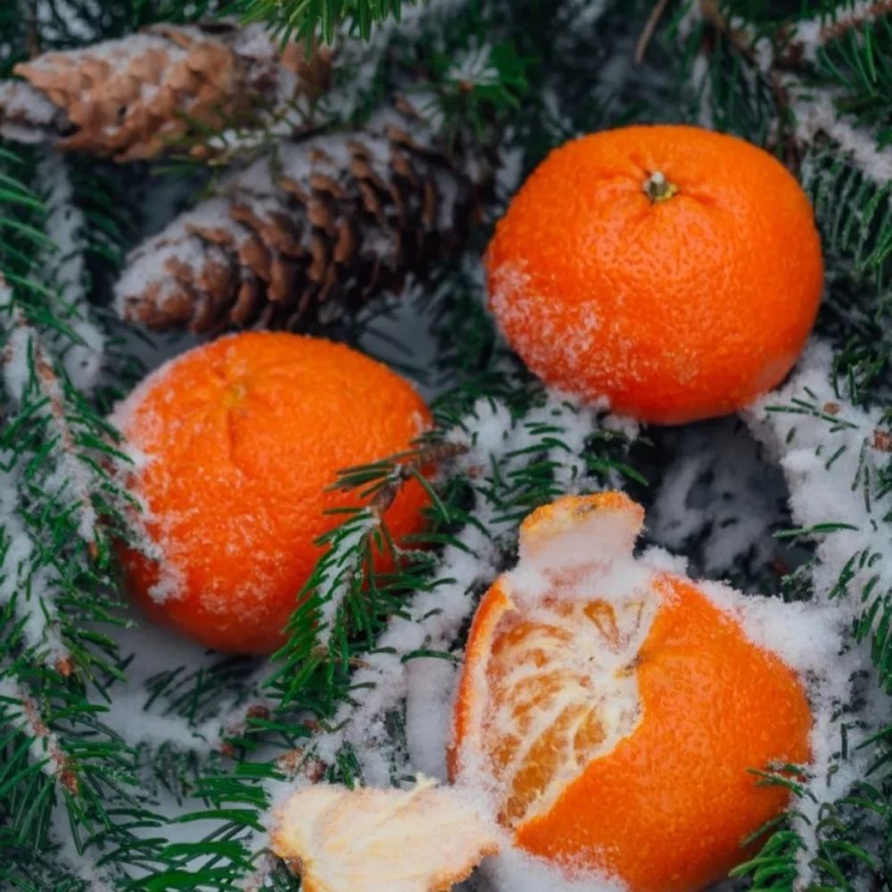 Photograph by Галина Беляева