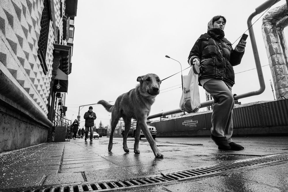 Photograph by Машевский Владимир
