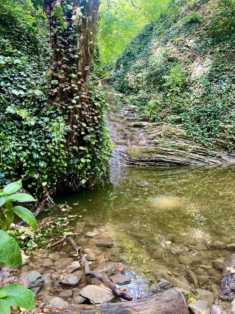 Photograph by Ирина Швейнова