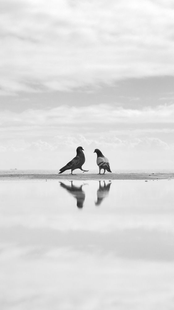 Photograph by Vladimir Shish