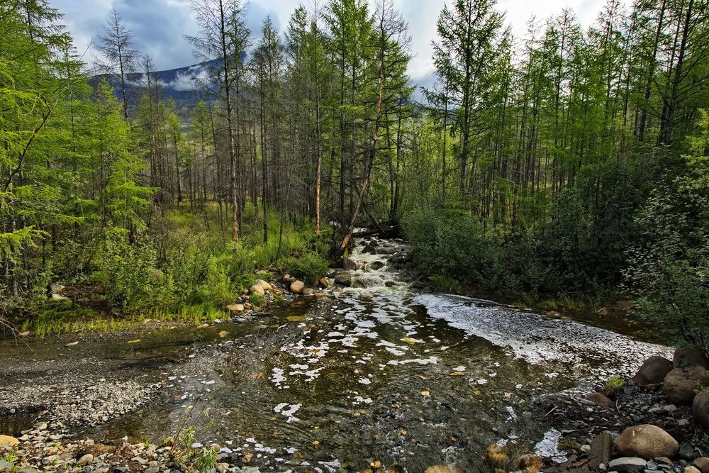 Photograph by Олег Раков