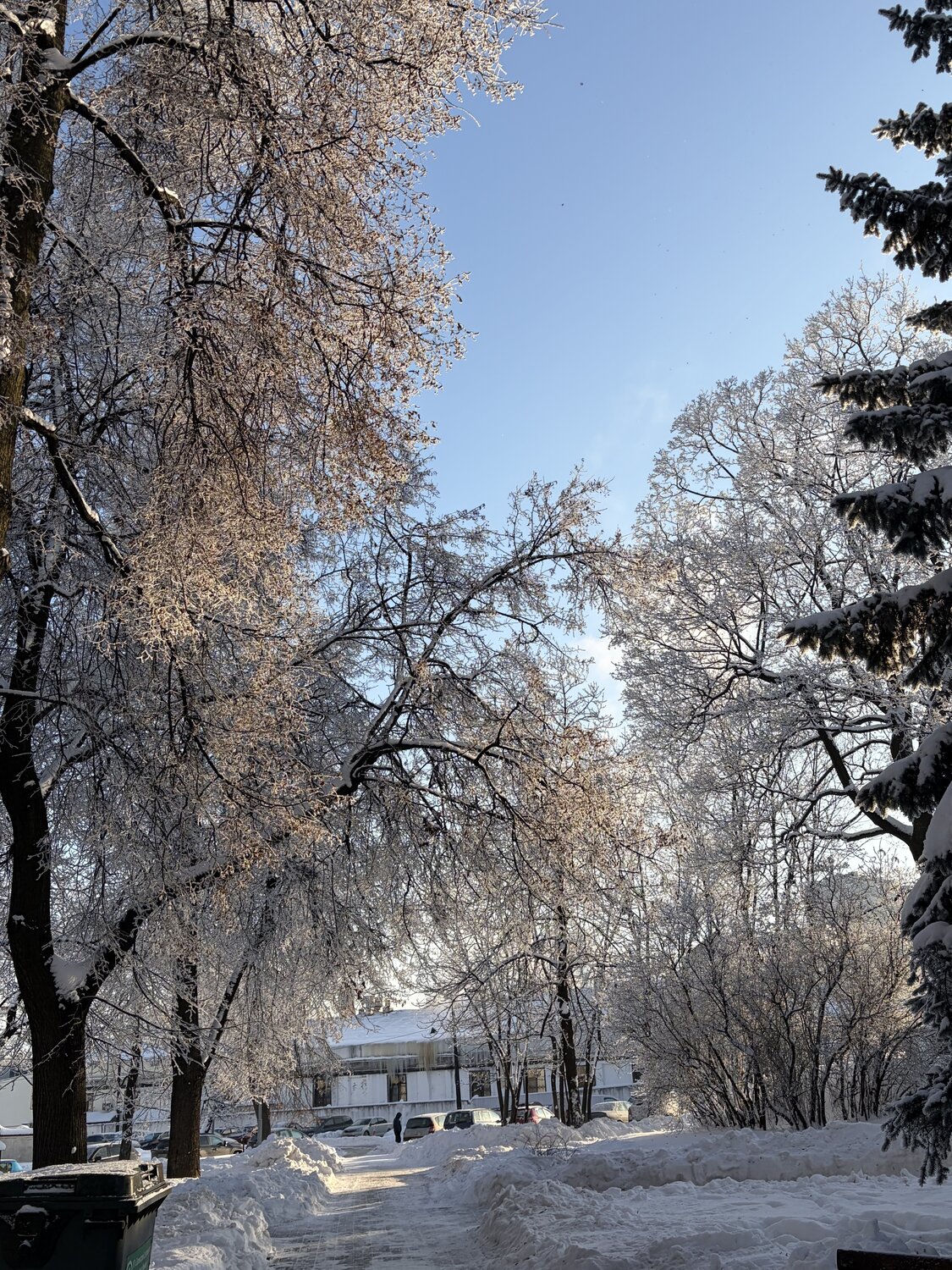 Photo #13272741
