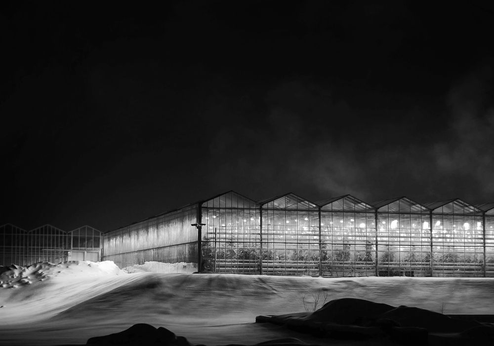 Photograph by Christina Oleshkevich