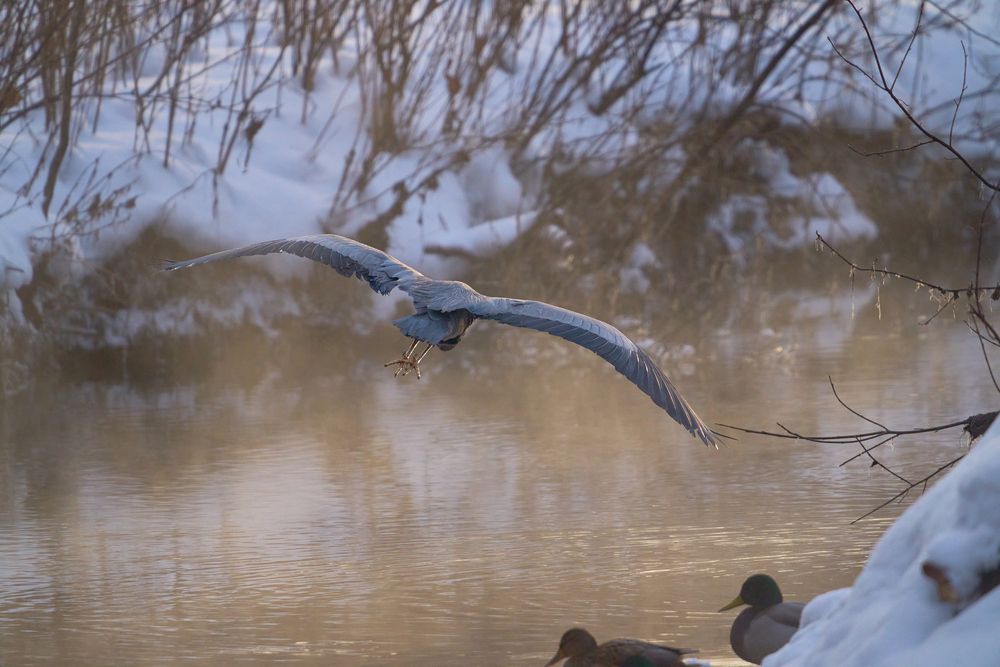 Photograph by Валерий Змачинский