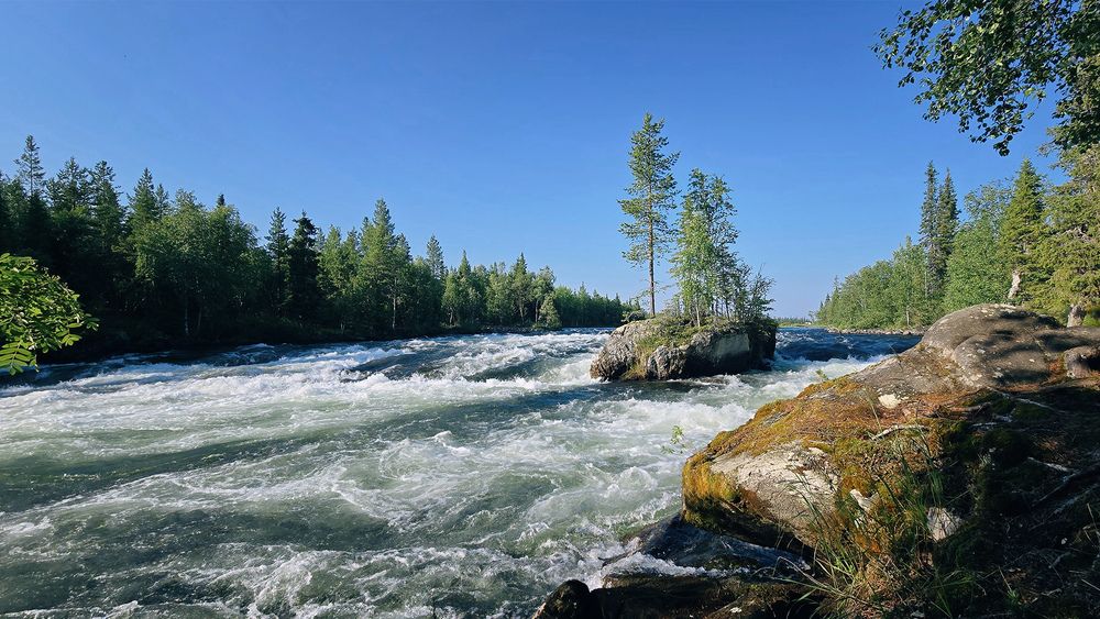 Фотография автора Коцюрба Татьяна