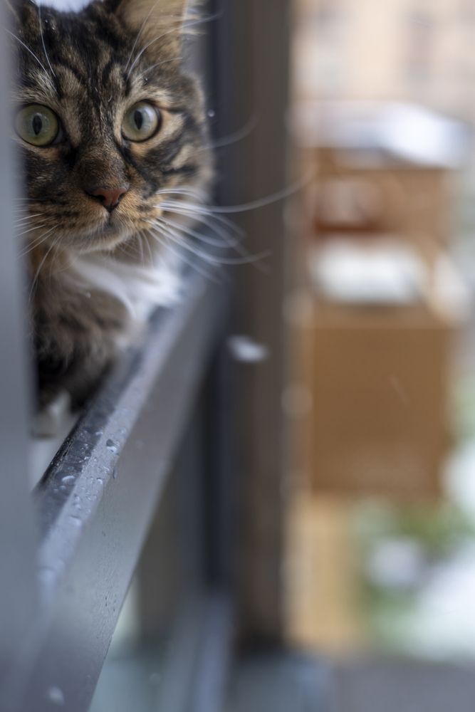 Photograph by Константин