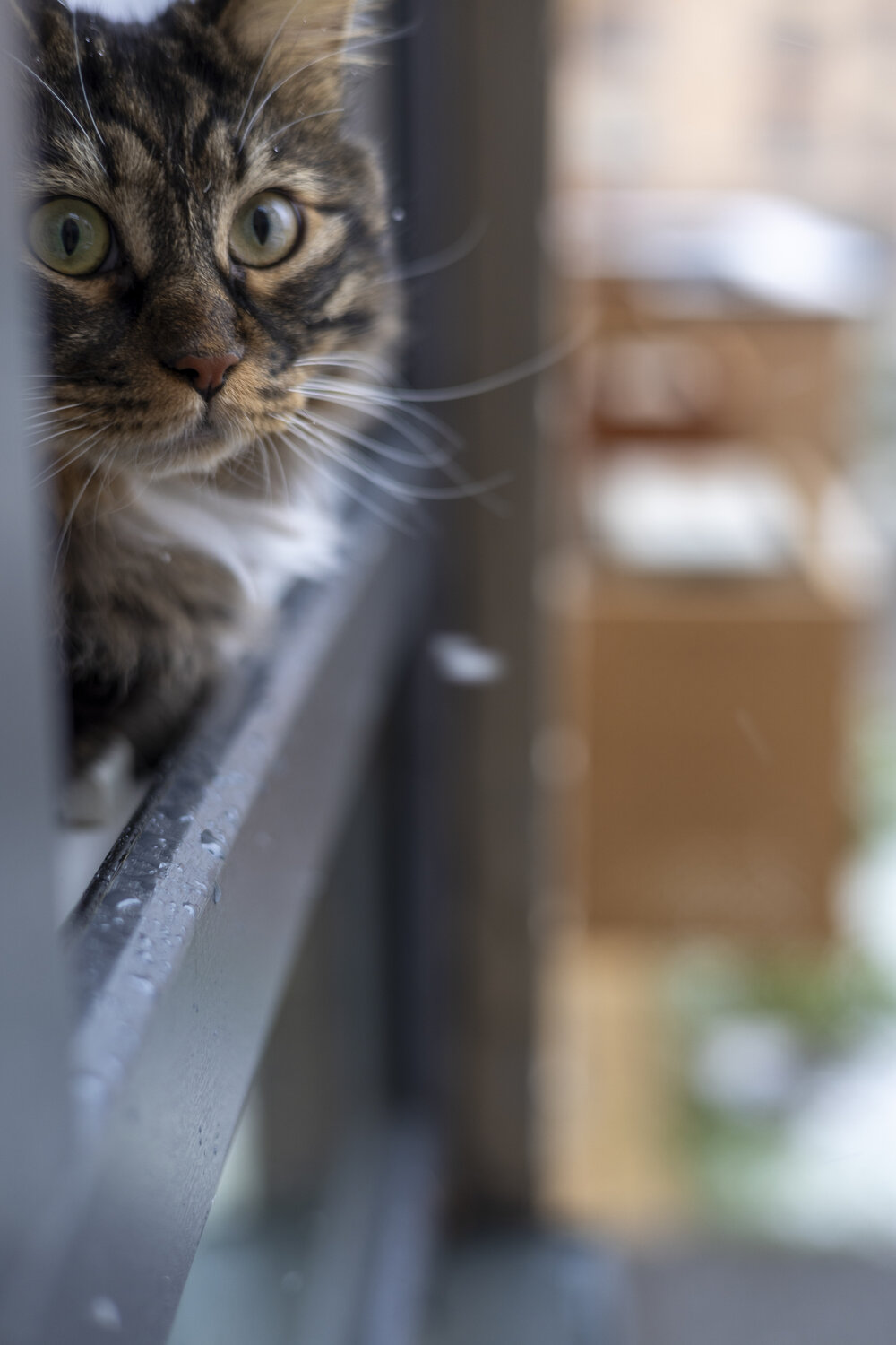 Photo #13272882