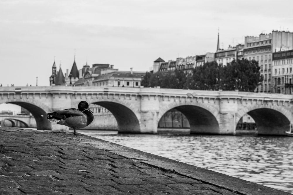 Photograph by Igor Vinogradov
