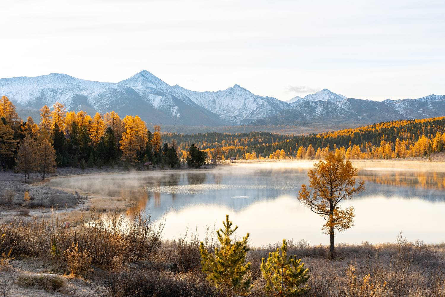 Краски Алтая